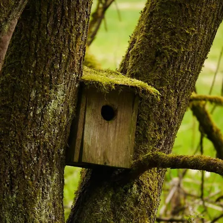 Kedo Apartamento Neukirchen vorm Wald